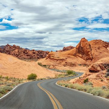 Are you ready to quit your job to start a business: The long road to success