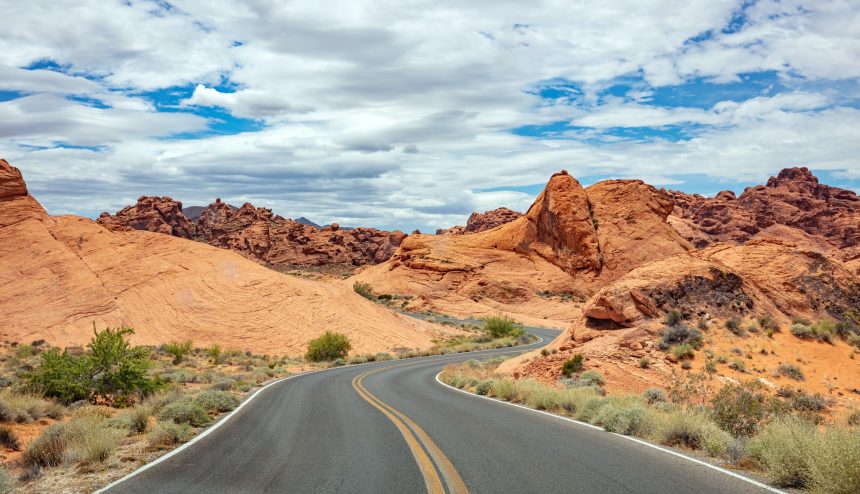 Are you ready to quit your job to start a business: The long road to success